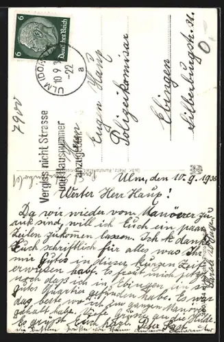 AK Ulm a. d. Donau, Münster, Fliegender Spatz