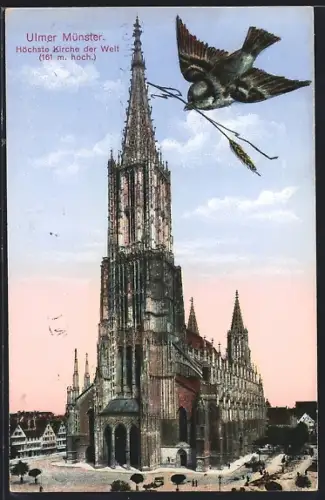 AK Ulm / Donau, Ulmer Münster, höchste Kirche der Welt, Spatz