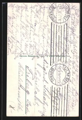 AK Ulm / Donau, Ulmer Münster, höchste Kirche der Welt, Spatz