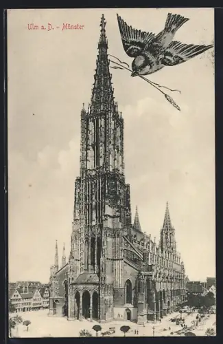 AK Ulm a. D., Münster, Fliegender Spatz