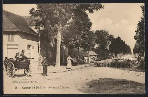 AK Camp de Mailly, Route de Châlons avec charrette et troupeau de moutons