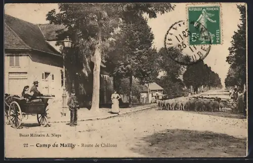 AK Camp de Mailly, Route de Châlons avec troupeau et charrette