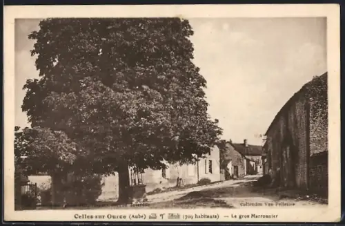 AK Celles-sur-Ource /Aube, Le gros marronnier