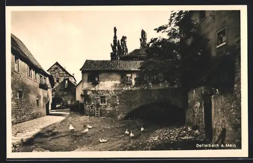 AK Dettelbach a. Main, Partie am Bach, Brückentor
