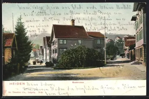 AK Heiden, Badstrasse, Panorama von einer Gabelung aus
