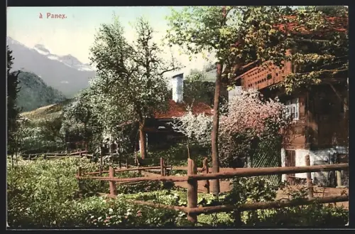 AK Panex, Zwei Häuser mit Bergblick im Frühling