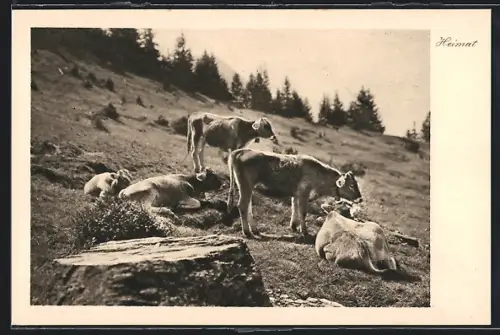AK Flumserberg, Alpidyll mit Kühen