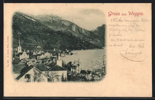 AK Weggis, Gesamtansicht