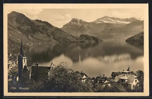 AK Weggis, Teilansicht mit Wasserblick u. Bergpanorama