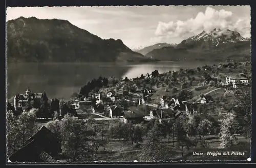 AK Weggis, Unter-Weggis, Gesamtansicht mit Pilatus