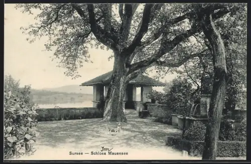 AK Sursee, Schloss Mauensee, Hof mit Brunnen, Pavillon u. Wasserblick