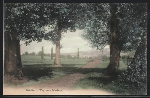 AK Sursee, Weg nach Mariazell