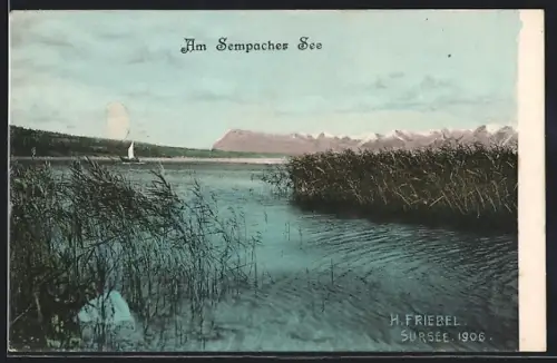 AK Sempach, Sempacher See mit Bergpanorama