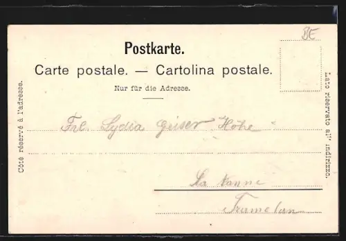 AK Langenthal, Ortspanorama mit Feldern