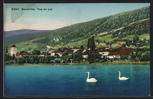 AK Neuveville, Vue du Lac