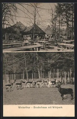 AK Winterthur, Bruderhaus mit Wildpark