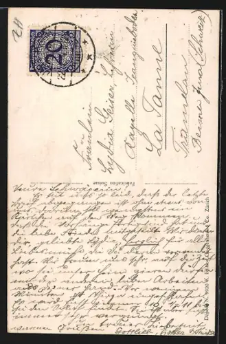 AK Horgen, Totalansicht mit Turmgebäuden und Seeblick aus der Vogelschau