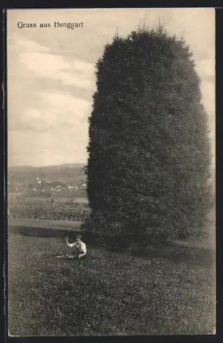 AK Henggart, Ortsansicht aus der Ferne, Baum