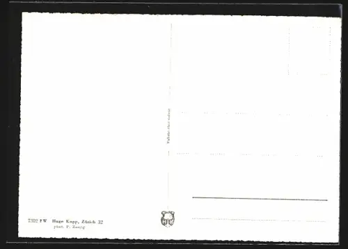 AK Mellingen /Aarg., Totalansicht mit Fernblick vom Flugzeug aus