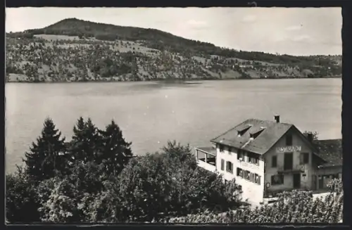 AK Meisterschwanden am Hallwilersee, Restaurant Delphin