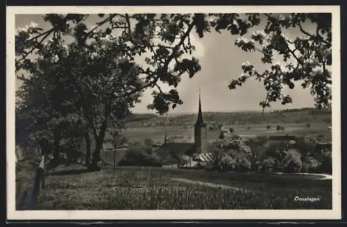 AK Oensingen, Ortsansicht mit Kirche von einer Wiese aus