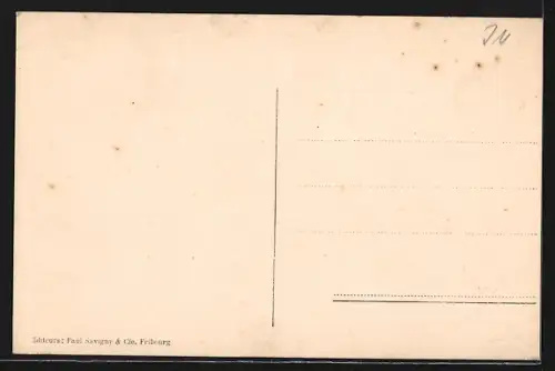 AK Mervelier, Totalansicht mit Bergpanorama aus der Vogelschau