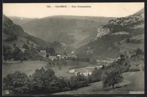 AK Goumois, Vue d`ensemble