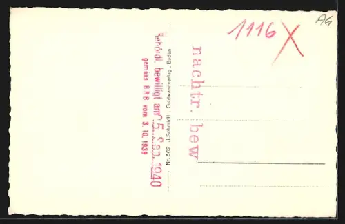 AK Wettingen, Ortsansicht von einem Weinberg aus