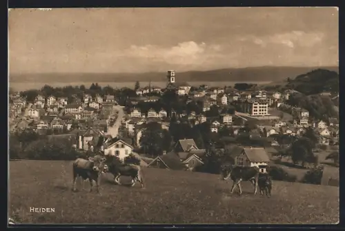 AK Heiden, Ortsansicht, Kühe auf der Weide