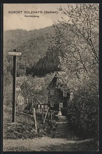 AK Sülzhayn /Südharz, Partie am Sackbergweg mit Wohnhäusern