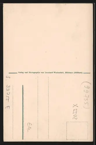 AK Sülzhayn /Südharz, Partie am Sackbergweg mit Wohnhäusern
