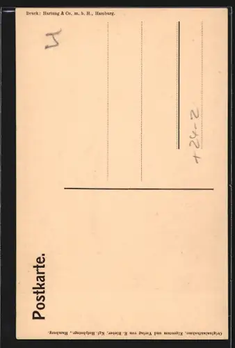 AK Hamburg-Neustadt, Ruinen der St. Michaeliskirche, Altarnische mit nördlichem Teil