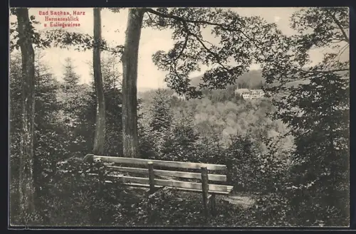 AK Bad Sachsa /Harz, Herrenansicht und Eulingswiese