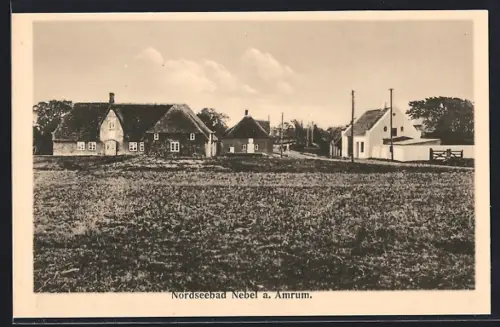 AK Nebel a. Amrum, Dorfansicht mit reetgedeckten Häusern