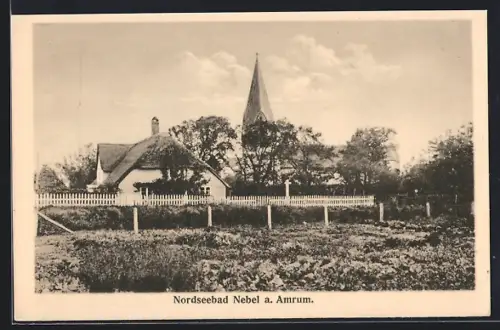 AK Nebel a. Amrum, Kirche und reetgedecktes Haus