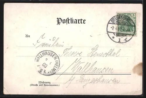 AK Braunschweig, Burg Dankwarderode