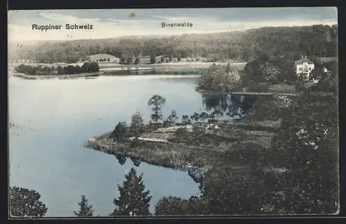 AK Binenwalde /Ruppiner Schweiz, Seeufer, Landschaft, Gebäude