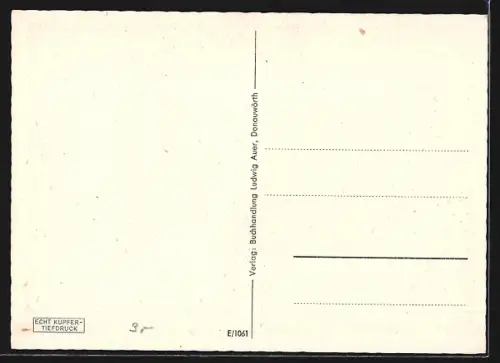 AK Donauwörth, Stadtansicht mit Kirche und historischen Gebäuden