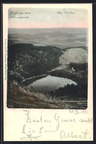 AK Schwarzwald, Feldsee aus der Vogelschau