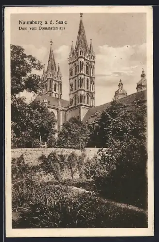 AK Naumburg a. d. Saale, Dom vom Domgarten aus