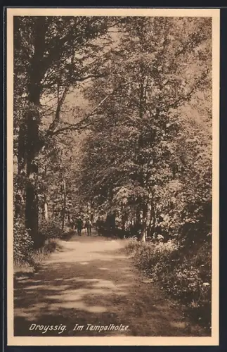 AK Droyssig, Im Tempelholze