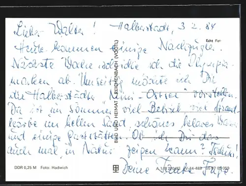 AK Halberstadt, Halberstädter See, Gaststätte, Strand, Badegäste