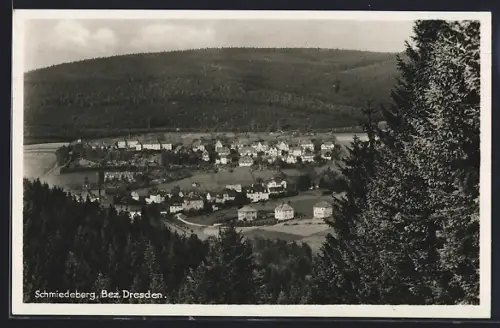 AK Schmiedeberg /Dresden, Panorama mit Waldumgebung