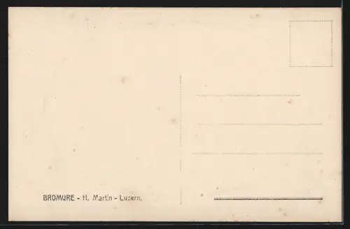 AK Luzern, Spreuerbrücke mit Turm-Panorama