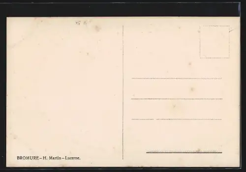 AK Luzern, Totalansicht mit Alpen aus der Vogelschau