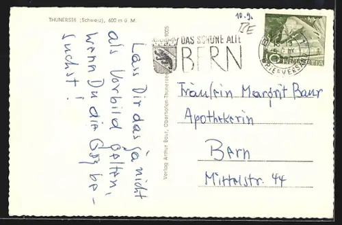 AK Thunersee, Dampfschiff u. Segelboote mit Eiger-Mönch-Jungfrau, Motorschiff Jungfrau Niesen, Feriengrüsse