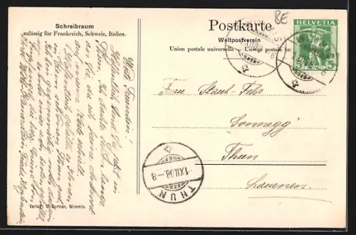 AK Wimmis, Gesamtansicht von der Simmenfluh aus