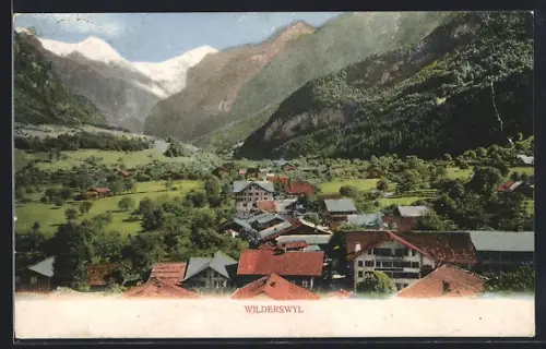 AK Wilderswyl, Teilansicht mit Tal- und Bergblick