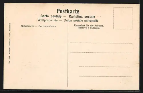 AK Solothurn, Turm am Ufer der Aare