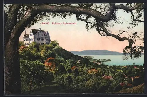 AK Salenstein, Schloss Salenstein mit Wasserblick